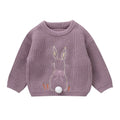 Toddler Girl Boy Casual Knitting Pullover for Easter