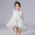 Lace Flower Embroidery Fluffy Mesh Trailing Girls Party Dresses childrensterritory