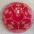 Professional Ballet Tutu Dress with Embroidery for Women and Girls childrensterritory