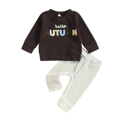 Baby Boy Letter Embroidery Full Sleeve Fall Tracksuit childrensterritory