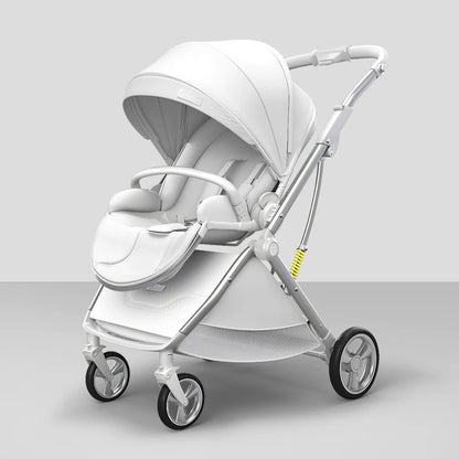 High Landscape Luxury Baby Stroller with Egg-Shaped Seat childrensterritory