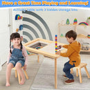Multifunctional Kids Sensory Table with 2 Storage Boxes and 2 Stools childrensterritory