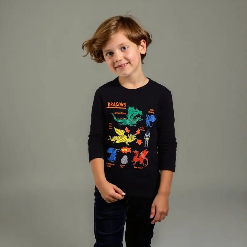 Cartoon DRAGONS Design Little Boys Long Sleeve T-shirts childrensterritory