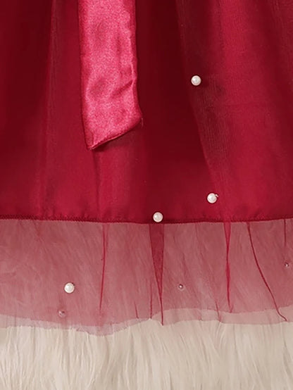 Little Girls Long Sleeve Bow-Decorated Velvet Tutu Party Dresses