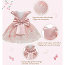 Girls Embroidery Bow Design Princess Dresses