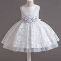 Baby Girl's Dress Lace Applique Design Princess Party Dresses childrensterritory
