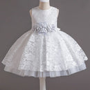 Baby Girl's Dress Lace Applique Design Princess Party Dresses childrensterritory
