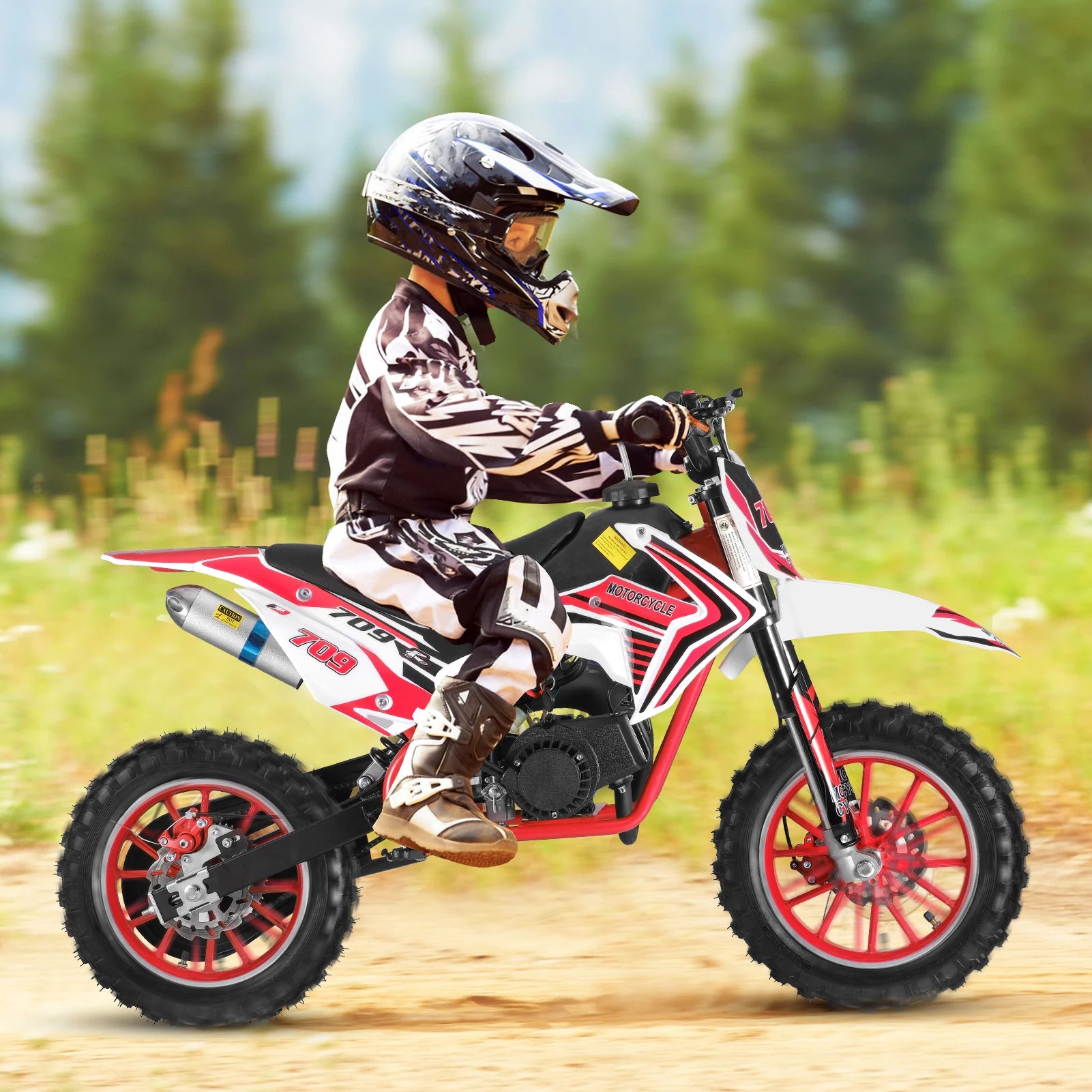 Off-road Mini Motorcycle for Kids with Front and Rear Disc Brakes