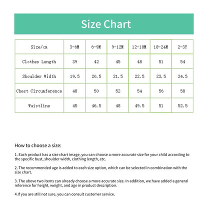 Korean Style Baby Girls Floral Princess Formal Dress childrensterritory