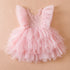 Baby Girl Ruffle Lace Tutu Princess Dress for Wedding and Birthday childrensterritory