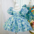 Kids Girls Luxury Fluffy Formal Lace Design Ball Gowns childrensterritory