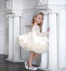 Little Girls Vintage Tulle Long Sleeve Princess Party Dresses childrensterritory