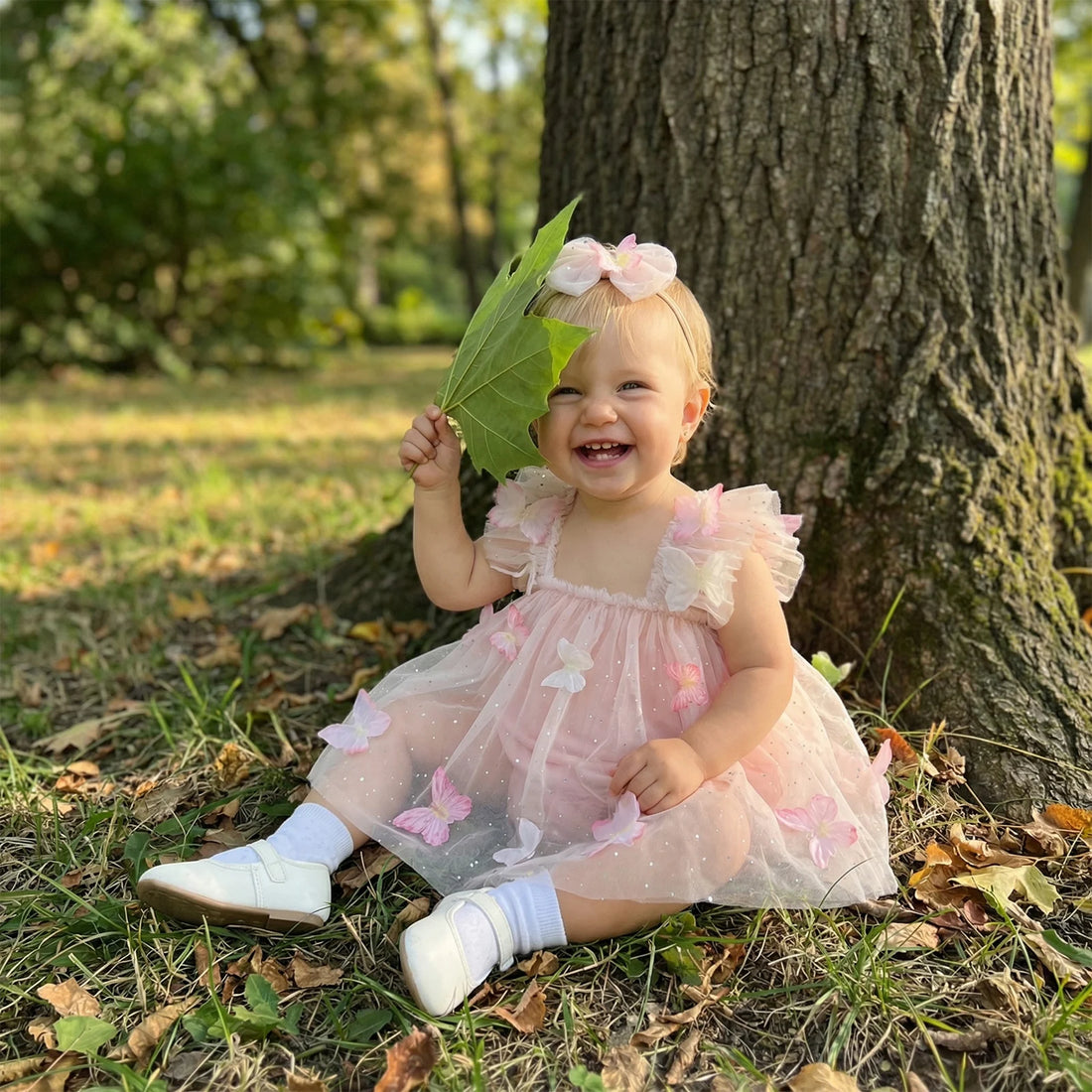 Baby Girl Ruffled Tulle Butterfly Embroidery Princess Dress