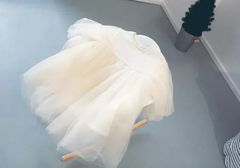 Baby Girls Designer Sweet Princess Dress For Spring childrensterritory