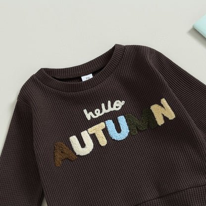 Baby Boy Letter Embroidery Full Sleeve Fall Tracksuit childrensterritory
