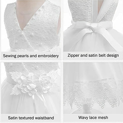 Baby Girl Elegant Lace Design Christmas/Birthday Party Dresses