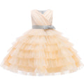 Kids Girl Fluffy Flower Wedding Birthday Party Dresses