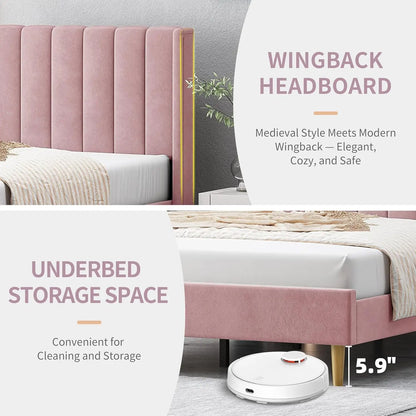 Designer Kids Bed Frame for Modern Living Spaces childrensterritory