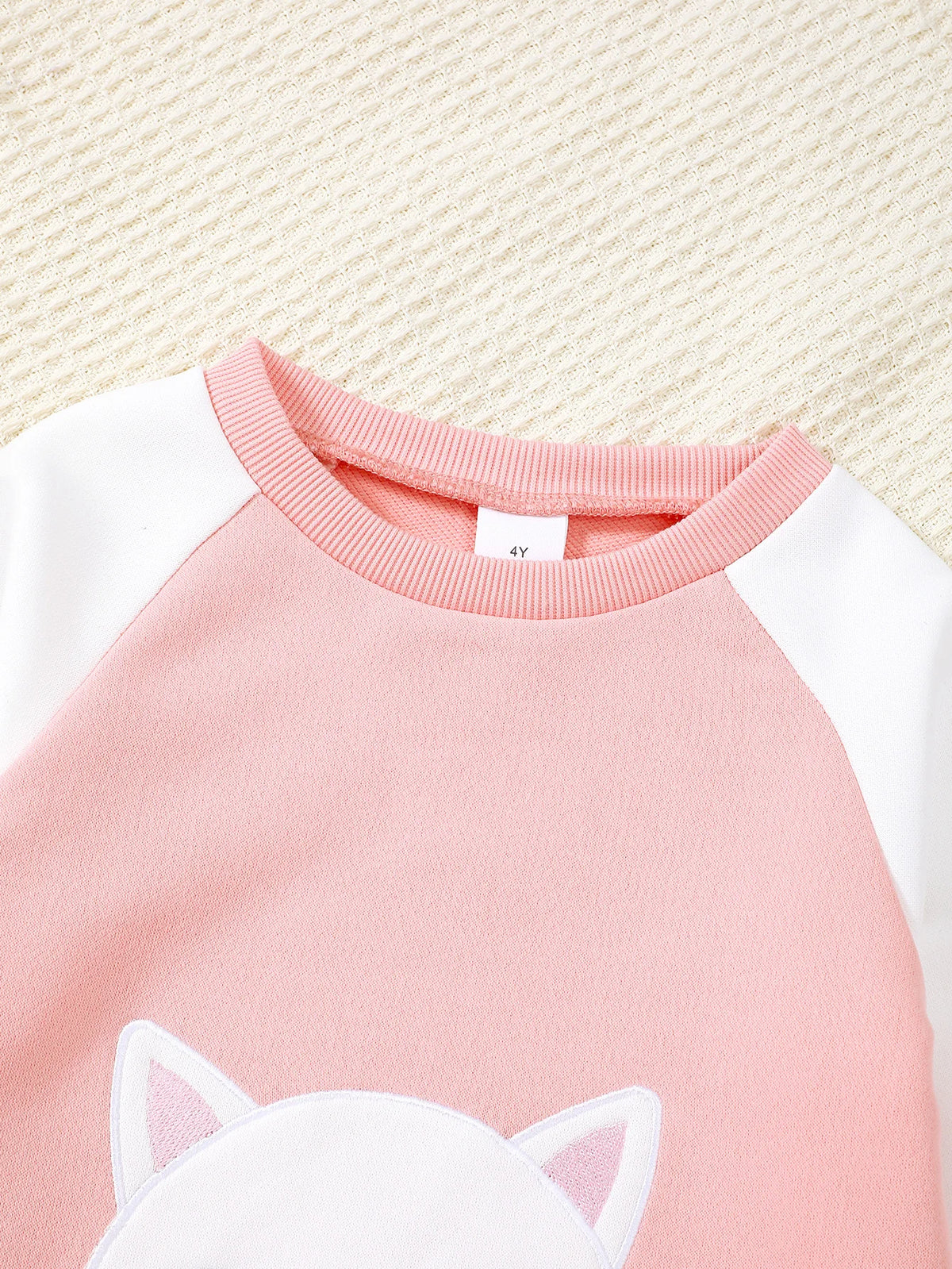 Girls Cartoon Letter Print Sweatshirt and Trousers Set