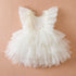 Baby Girl Ruffle Lace Tutu Princess Dress for Wedding and Birthday childrensterritory