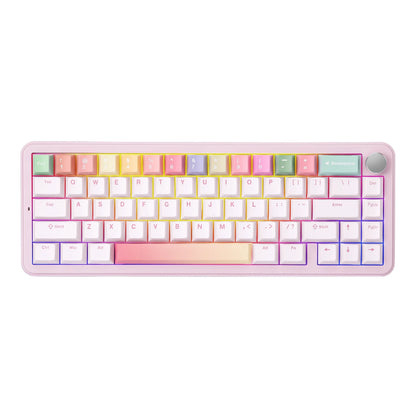 Tri-Mode Hot Swappable Wireless Gaming Keyboard for Win/Mac childrensterritory