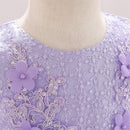 Baby Girl Lace Embroidered Formal Occasion Gowns childrensterritory