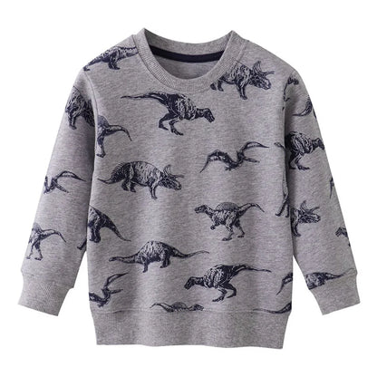Little Boys Cotton Various Pattern Sweatshirts childrensterritory