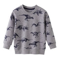 Little Boys Cotton Various Pattern Sweatshirts childrensterritory