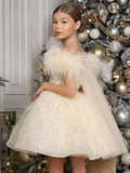 Girls Luxurious White Feather Design Fluffy Party Dresses childrensterritory