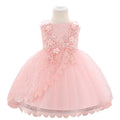 Baby Girl Lace Embroidered Formal Occasion Gowns childrensterritory