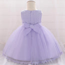 Baby Girl Lace Embroidered Formal Occasion Gowns childrensterritory