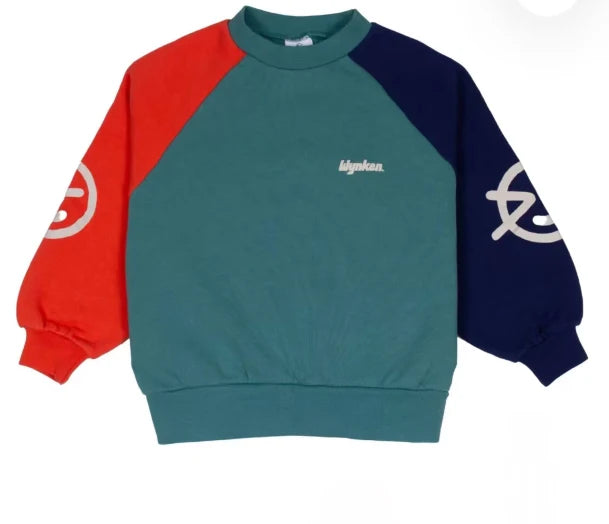 Kids Designer Warm Sweaters and Pants Clothing Sets childrensterritory