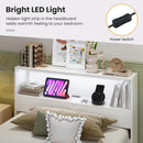 Modern Kids Bed Frame with Stylish & Functional Design childrensterritory