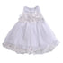Little Girls Leopard Printed Ruffled Bowknot Party Dress childrensterritory