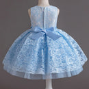 Baby Girl's Dress Lace Applique Design Princess Party Dresses childrensterritory