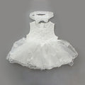 Baby Girl Pink Princess Clothing Sets for Birthday Party childrensterritory