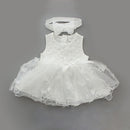 Baby Girl Pink Princess Clothing Sets for Birthday Party childrensterritory