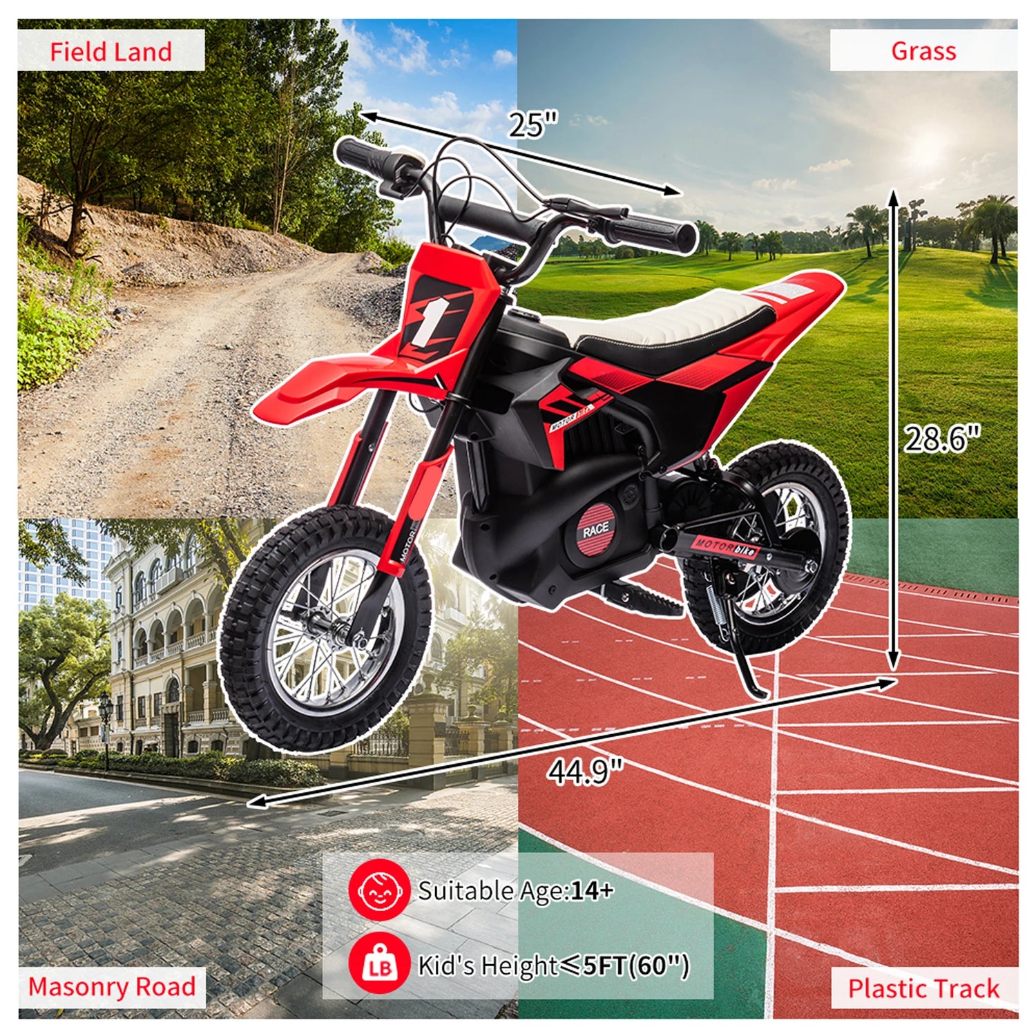 24V Kids Electric Battery-Powered Ride on Motorcycle childrensterritory