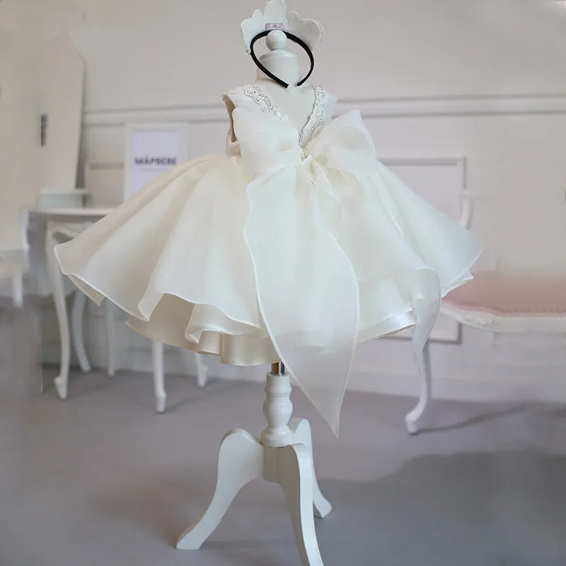 Little Girl Lace Embroidery Puffy Princess Party Dresses