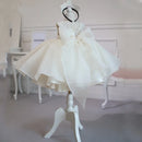 Little Girl Lace Embroidery Puffy Princess Party Dresses