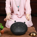 10" Steel Tongue Drum w/ Bag Mallets & Finger Picks childrensterritory