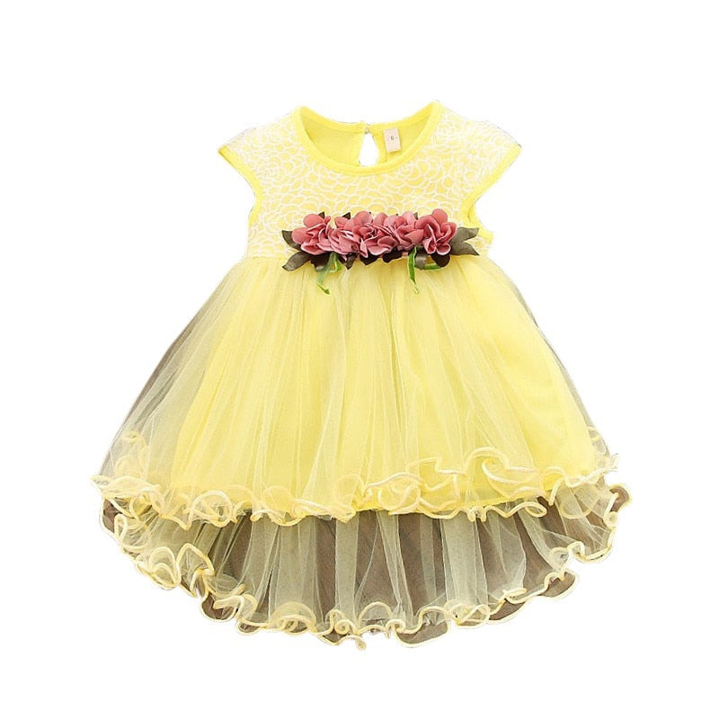 Baby Girl Floral Princess Dress/Tutu Dresses childrensterritory