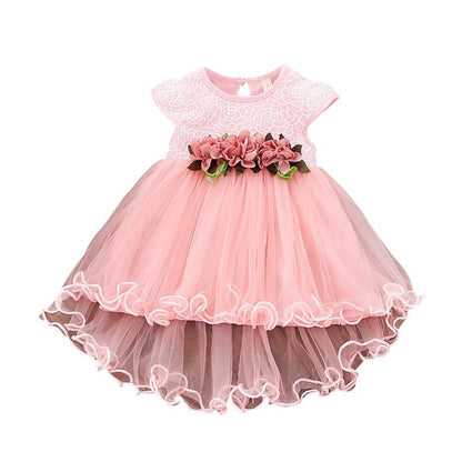 Baby Girl Floral Princess Dress/Tutu Dresses childrensterritory