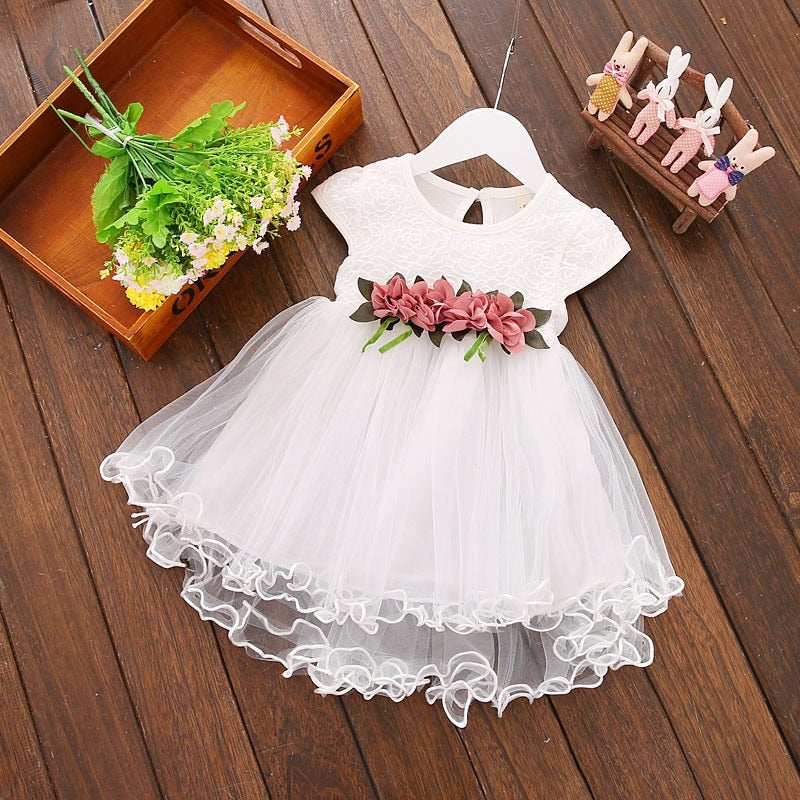 Baby Girl Floral Princess Dress/Tutu Dresses childrensterritory