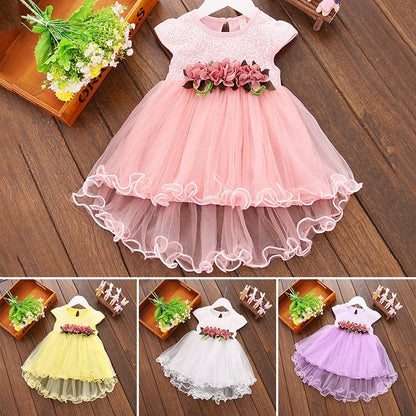 Baby Girl Floral Princess Dress/Tutu Dresses childrensterritory