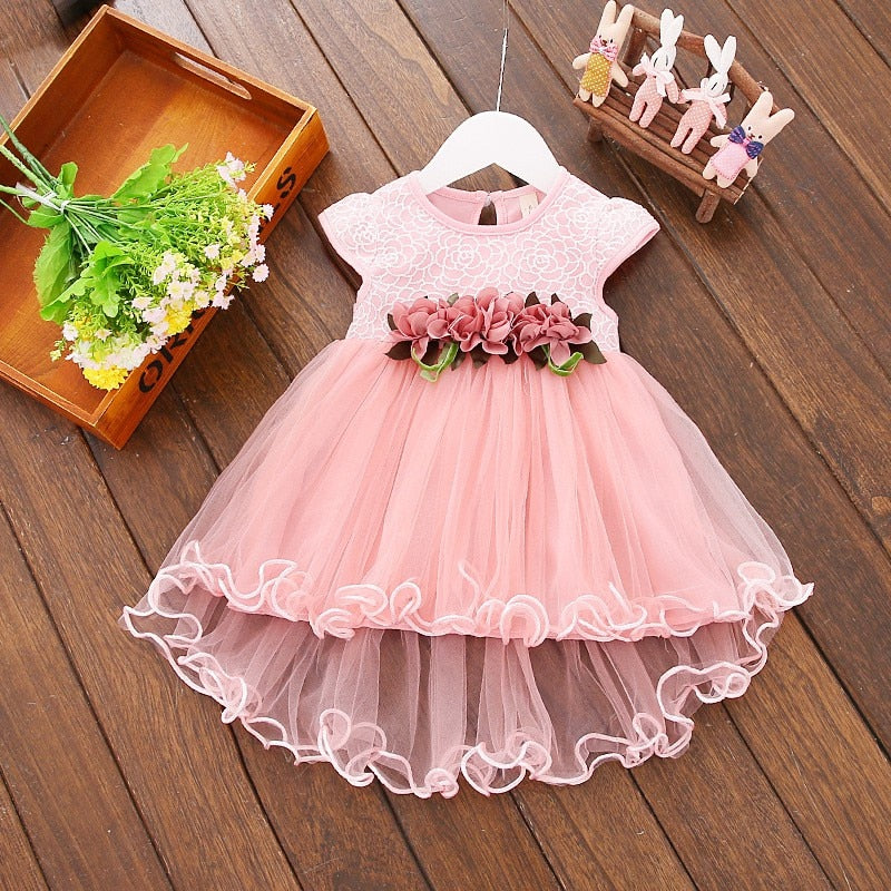 Baby Girl Floral Princess Dress/Tutu Dresses childrensterritory