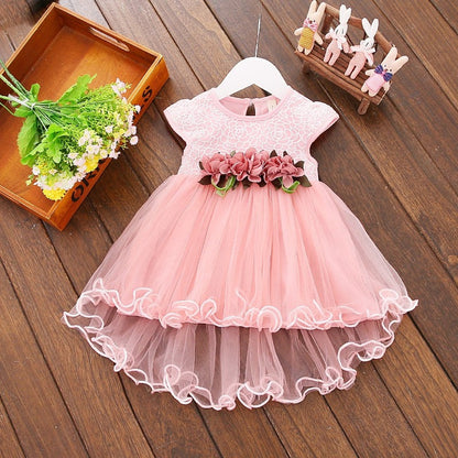 Baby Girl Floral Princess Dress/Tutu Dresses childrensterritory