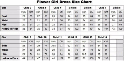 Baby/Kids Girls Tulle Sheer Neck Beaded Princess Dress childrensterritory