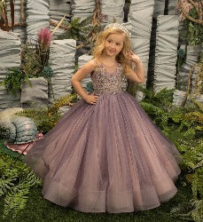 Baby/Kids Girls Tulle Sheer Neck Beaded Princess Dress childrensterritory
