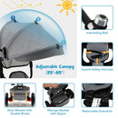 Folding Toddler Tricycle W/Reversible Seat & Canopy childrensterritory